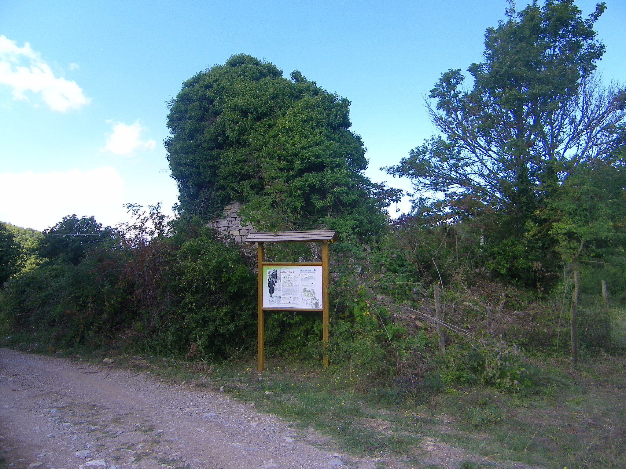 Foto del 2013 dei ruderi dell'abazia di Acqualta